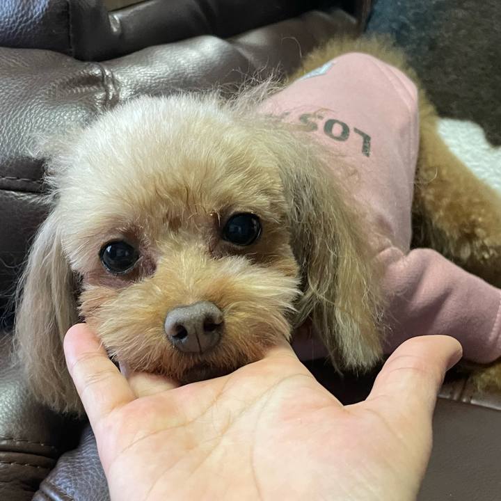 Bead3bad cb25 4d56 a77c bb81c5c874fc 1734163169465