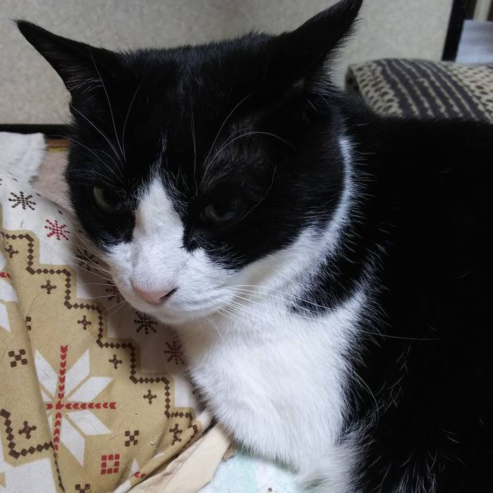 Bead4936 1033 49f5 a4ec 55b00a56a6a0 1555450964550