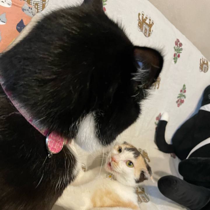 Bead4cea cfa8 435c a2fb a734b780aa29 1677576059228