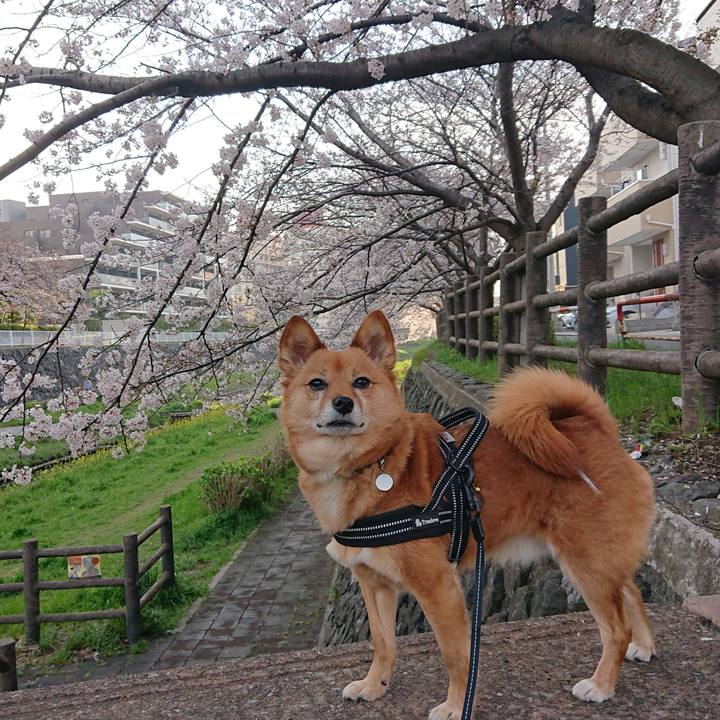 Bead53df 1ef4 449b 88ae b7b911ee9cbc 1616658824254