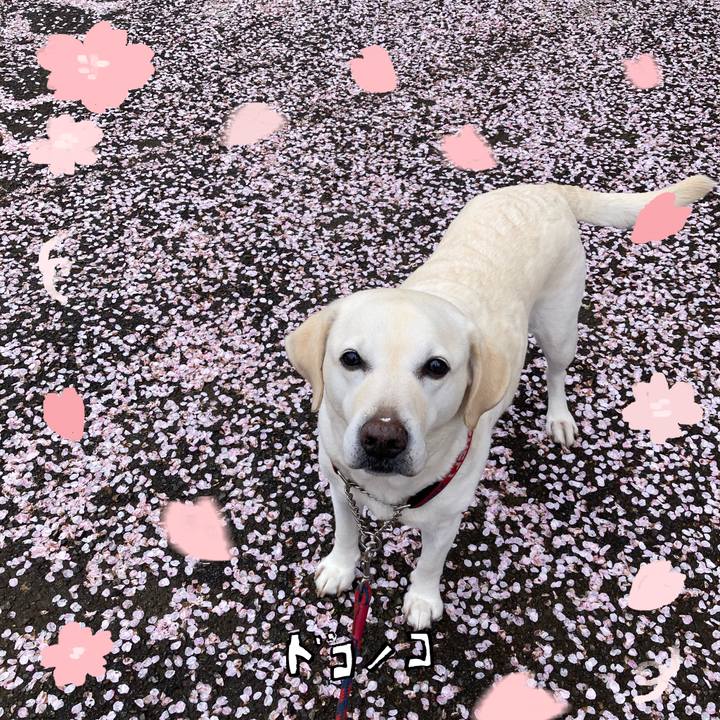 Beadea53 bb51 40de bc8d 9dc476d1d79c 1744331931750