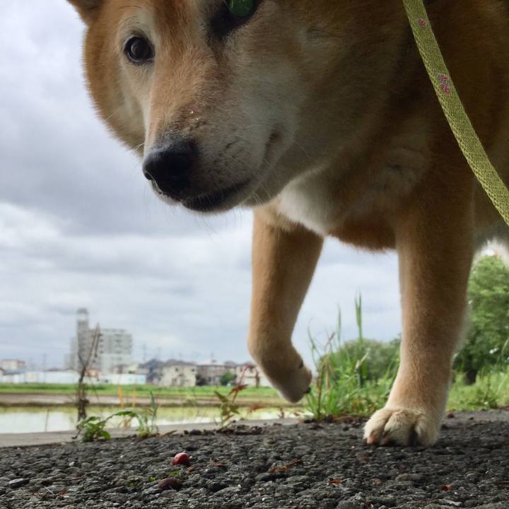 Beadee97 d4de 49e4 91f3 fd2944766e9b 1590126101092