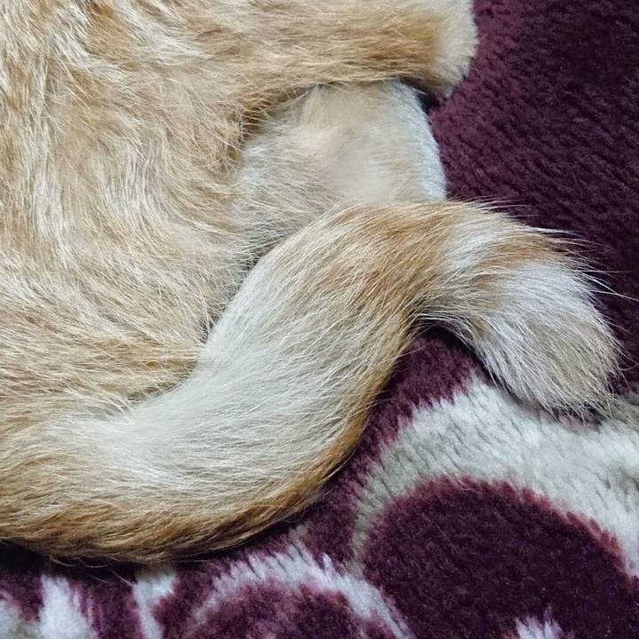 Beae0c96 2dfe 4df4 88a7 0cef80d7604c 1634905795220