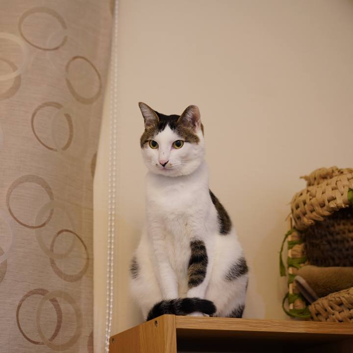 Beae76a1 e25a 4c15 b44b e0dfdad9a2e5 1574688539770