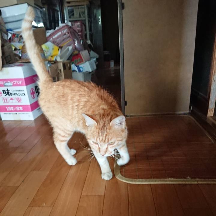 Beae78f8 9fce 47df 9372 dba8ad378a85 1591915048045