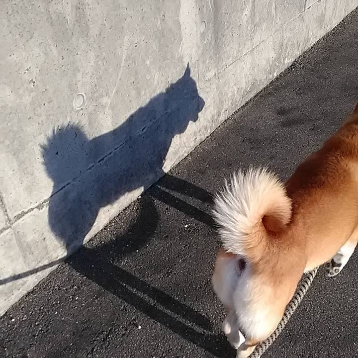 Beae7c85 5f5c 4410 80c0 f75024597376 1605172888637