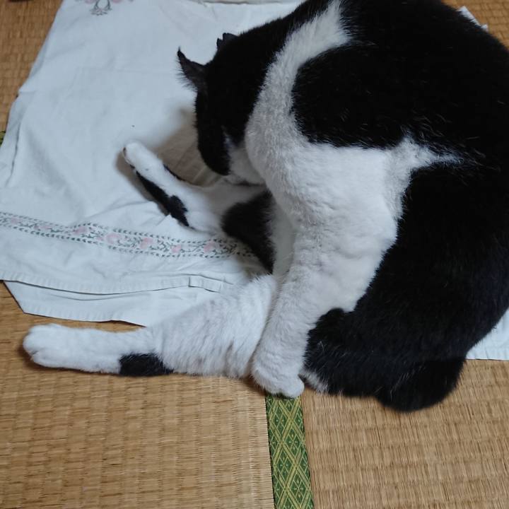 Beae92a0 fe12 4092 99b8 465c6a97de45 1600680704992