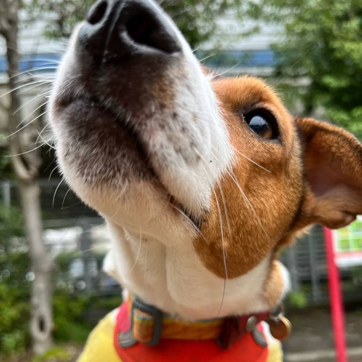 Beaeaed4 67dc 4826 9721 b062873cb099 1712893548278