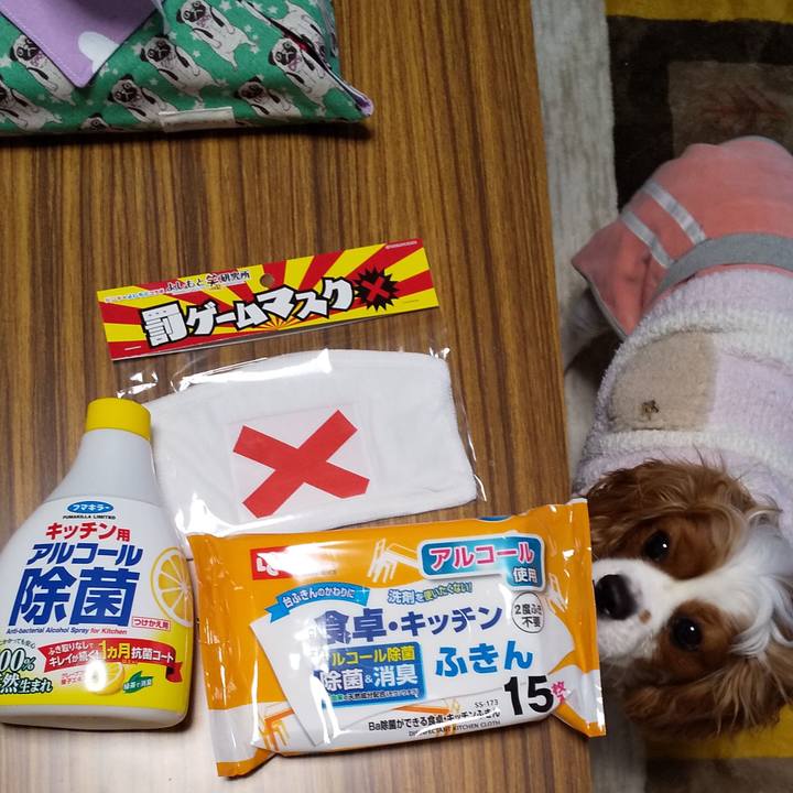 Beaeb997 0dc2 4831 8b94 501c548c3a84 1582899679831