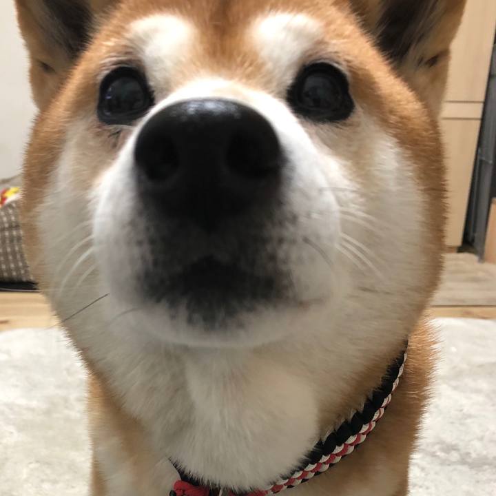 Beaec44c e03c 4bb2 86a0 1e2fe5924022 1546987597760