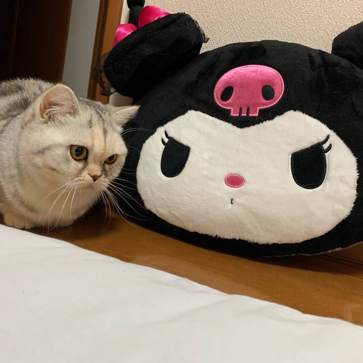 Beaedbcc 941f 41ce a6d9 4b9cd946ca36 1709554492350