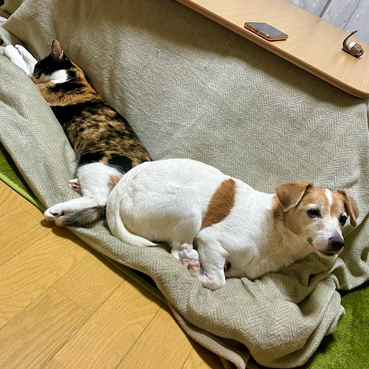 Beaee039 9414 4696 977a 8b0596ea80ea 1704194640479