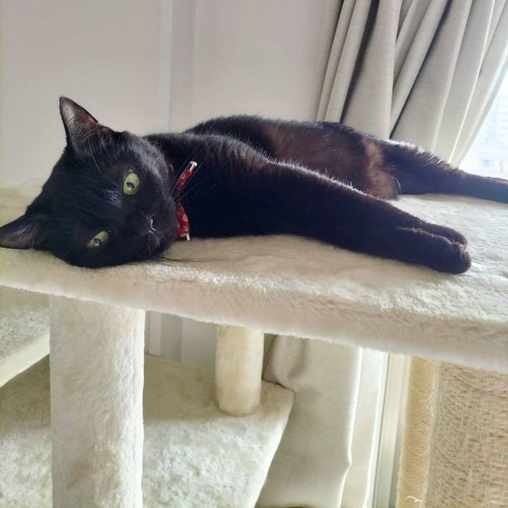 Beaef14f fe85 47cf 9bd1 fb8abc6cd20f 1689114549061