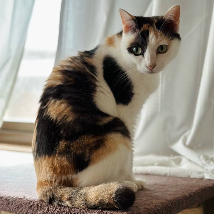 Beaf04ff 1b42 418b 8e6f d5e0a7362a81 1692230789611