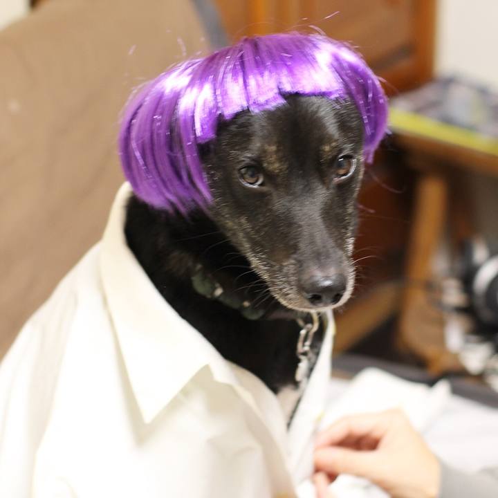 Beaf0595 2c52 41f7 ae34 b8fabdaf6a6e 1543924245276