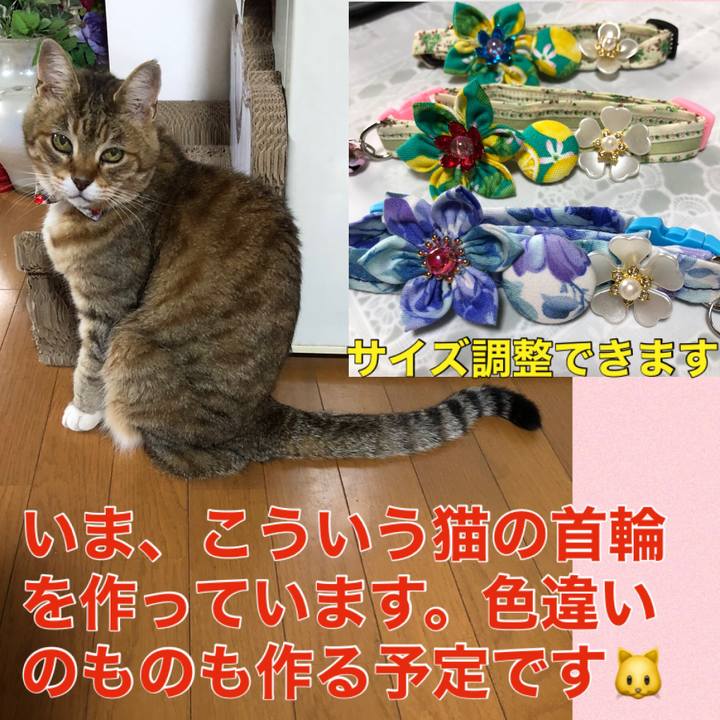 Beaf1435 f4d0 43f6 8113 f6030f77a961 1719544011479