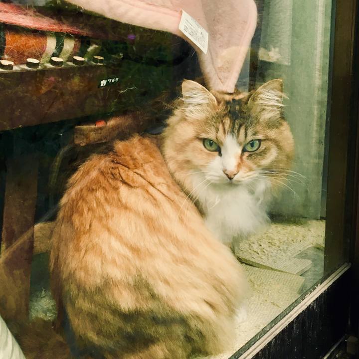 Beaf15d1 b3e3 4d18 991b da434929ef56 1561085933534