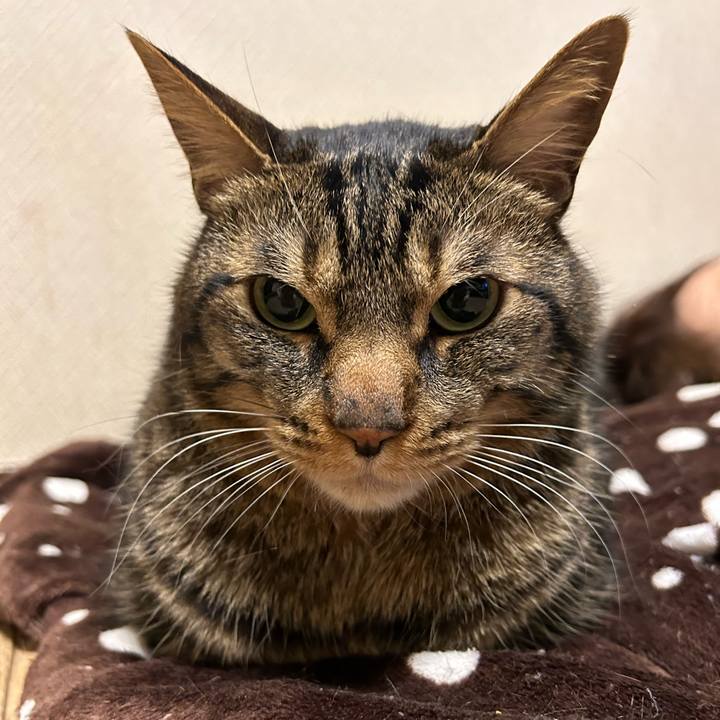 Beaf560e dc6d 4783 95f7 e4bbb59b9151 1674304676030