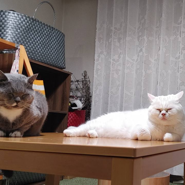 Beaf5cc7 974a 4402 b8fa b2ba3eaefc22 1631444398829