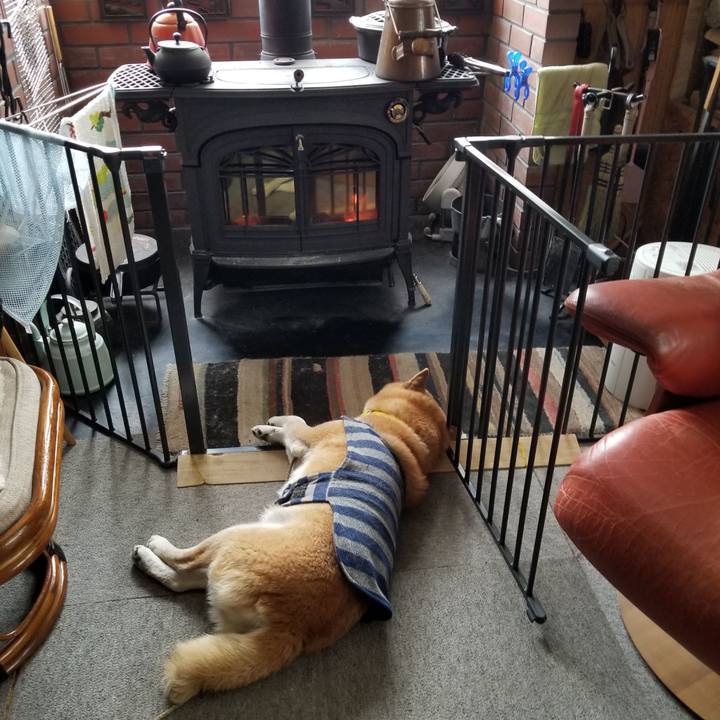 Beaf7398 9604 4e92 b9d2 3556b5b5d2d4 1674263445229