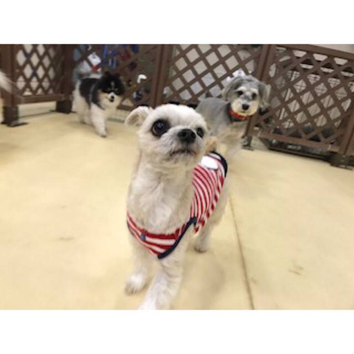 Beaf97b5 9c33 4b91 805b e29b6acaec0c 1547161526583