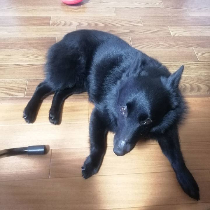 Beafa0ef 7d40 4a7c a3aa aaacdd64f34e 1654465206974