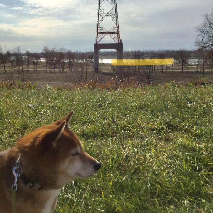 Beafa615 216f 4ad0 ad7c 46773da69be0 1578372117691