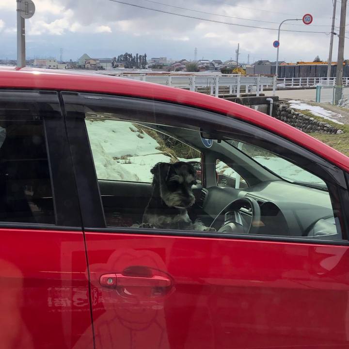 Beafdcb0 7601 4898 8885 0d8bf9a32505 1643521693052