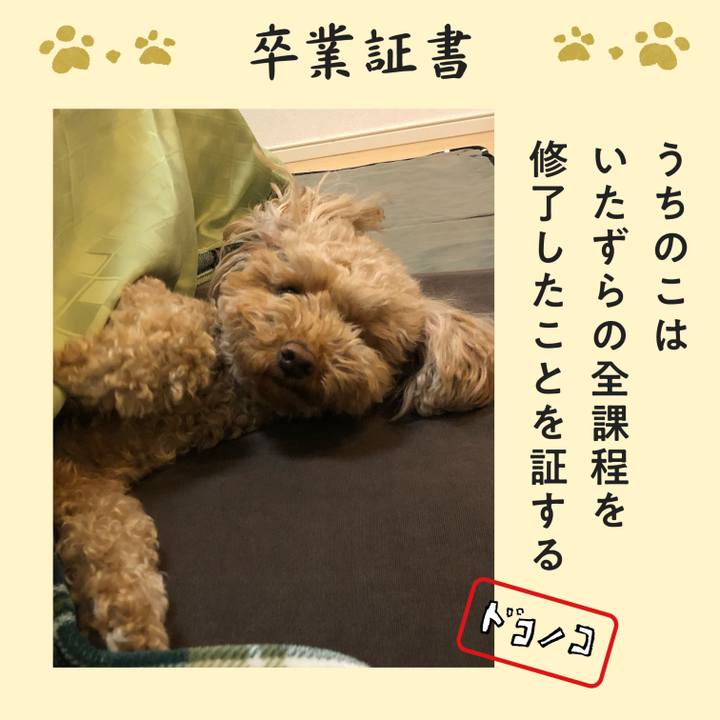 Beafef8c 2c55 455d 9b5f 8be2d0745cb4 1772026193393