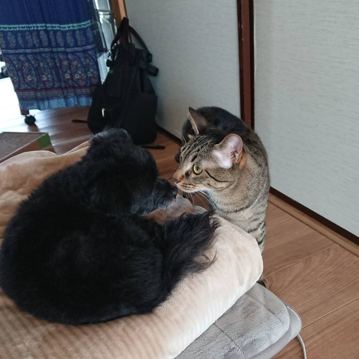 Beafff8c d762 4a4b 9b49 961236429c2c 1520145054740