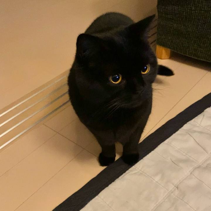 Beb01dae 5f8c 4e15 9fdc 5c856223a448 1670327515702