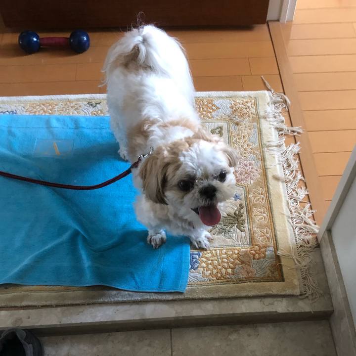 Beb070ed 3aff 46d3 b736 c4e0dfc60f78 1621201690118