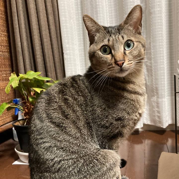 Beb10343 fd43 4367 bc3a fdf77444d75f 1773009509736