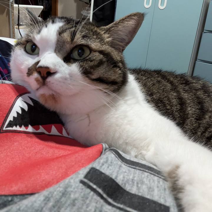 Beb11f05 d33f 4124 b126 544304804c68 1723423226972