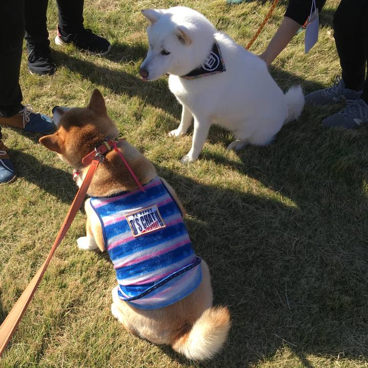 Beb1236b df9d 469b 95de fc7bf6bbc409 1573916541044