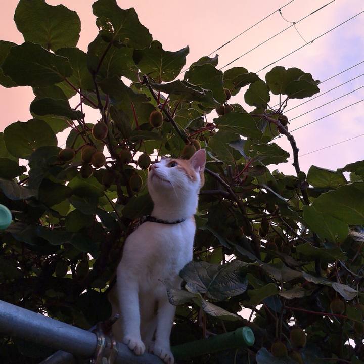 Beb1505e 2d18 43d9 afe9 723d73405809 1530446223943