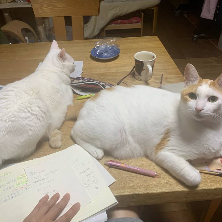 Beb15d1e bbdc 4941 9976 e16ad0582b8c 1591017001673