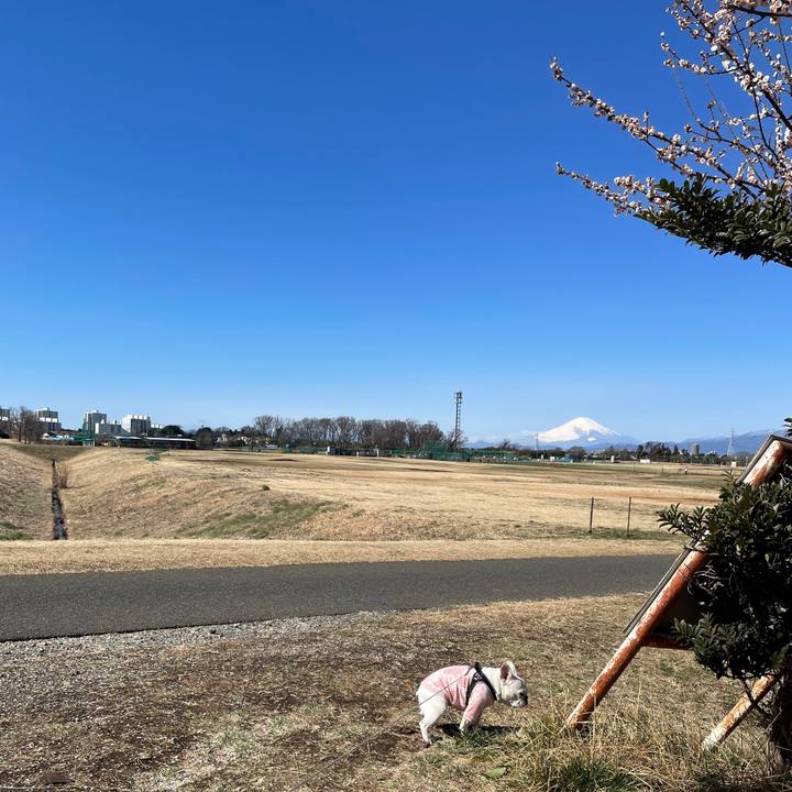 Beb18e8a 0453 4ca7 938c 943c7d7c2f05 1741389111436