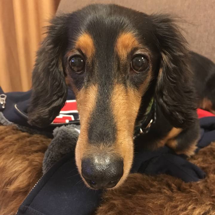 Beb1d565 6a81 4930 a6db 9d7082ee7d3c 1509801871510