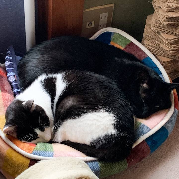 Beb1e997 c29d 4e4d 820e eb678f89126f 1571623218362