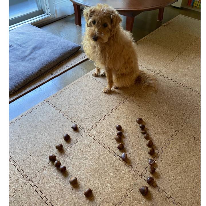 Beb22fc2 25fe 4fc5 b10f 7c1a0687a980 1694121913466