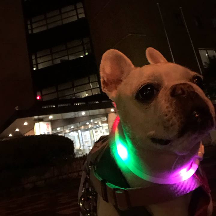 Beb2350e 6ddb 4c3c a4d7 b5bfcd73c1de 1682511758905