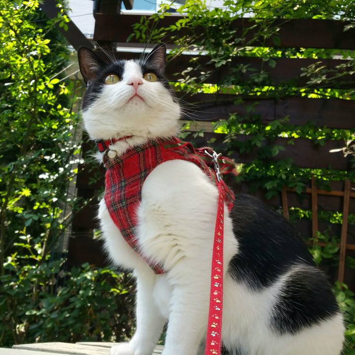 Beb23c6c 71ed 45ba 854e 296dc89955d7 1525054321780