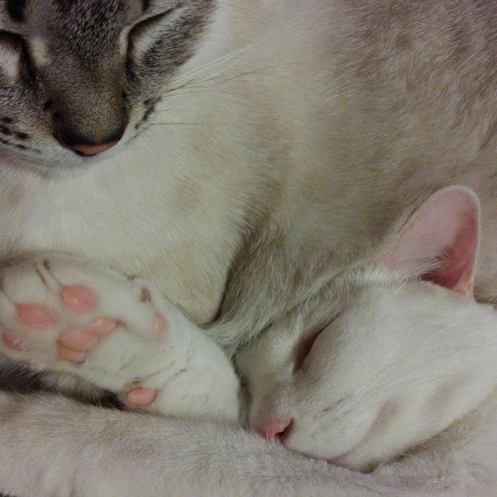 Beb2834c 2e94 4823 becb 310de1edc958 1509888471858