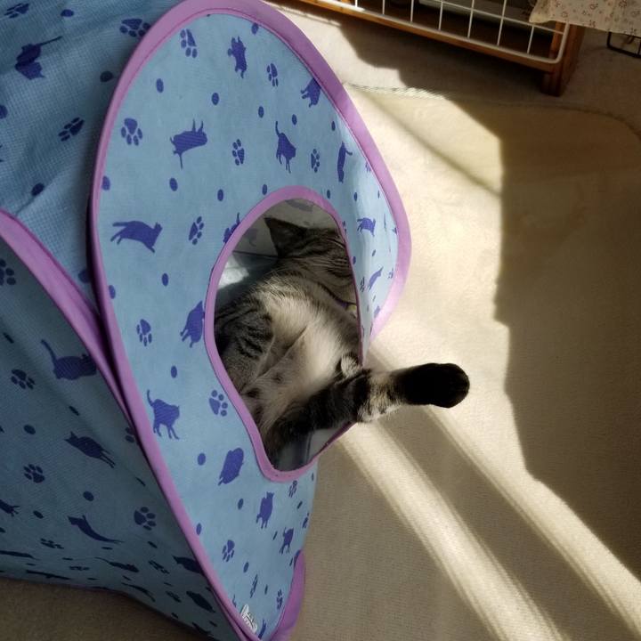 Beb28463 042b 4cc3 beb1 7a083a2fa333 1680093079816