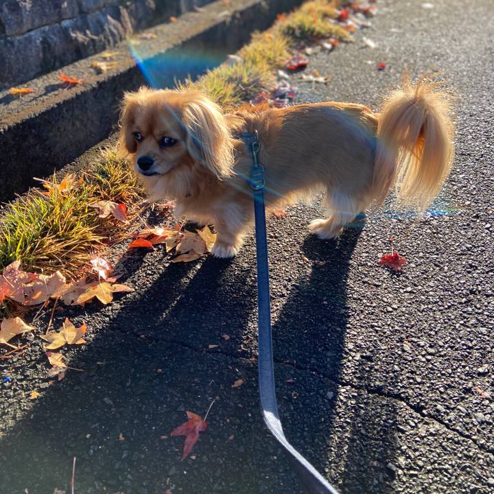 Beb2afc5 5a95 4eaa aa69 c88e1a584740 1574466244937