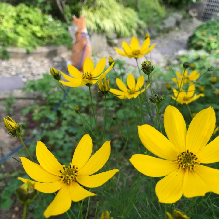 Beb2edb3 adab 476c 90e1 8f1931701567 1529581285448