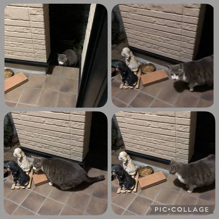 Beb2f325 958d 42c7 b90d 26d64be90faa 1645185825386