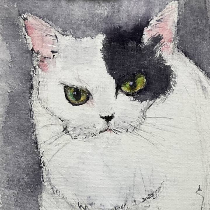 Beb309f8 ef6e 4676 ac62 e8bcfd6e94f5 1746620144182