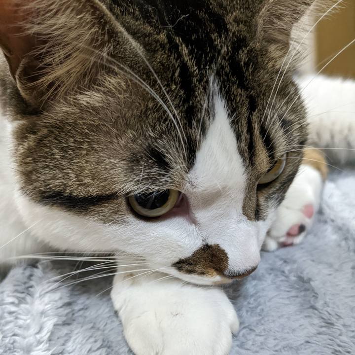 Beb3588b dc9f 45f7 9623 405f4801cea9 1667774786659